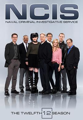 海军罪案调查处 第十二季 第14集