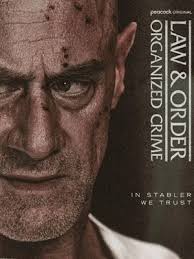 法律与秩序：组织犯罪 第五季