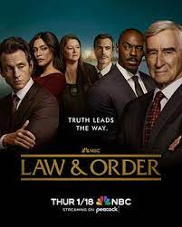法律与秩序 第二十三季 第8集