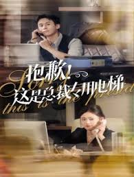 抱歉！这是总裁专用电梯 第01集