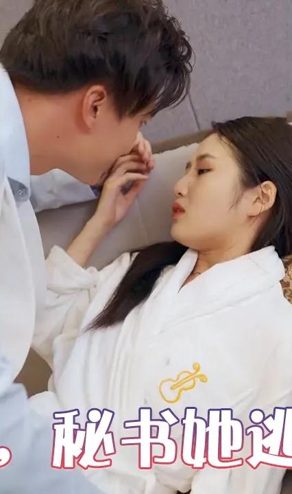 总裁，秘书她逃跑了 全集(大结局)