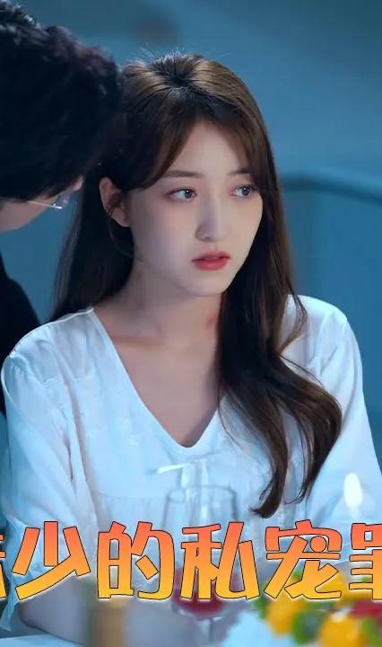 陆少的私宠罪妻 全集(大结局)