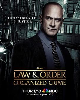 法律与秩序：组织犯罪 第四季 第09集